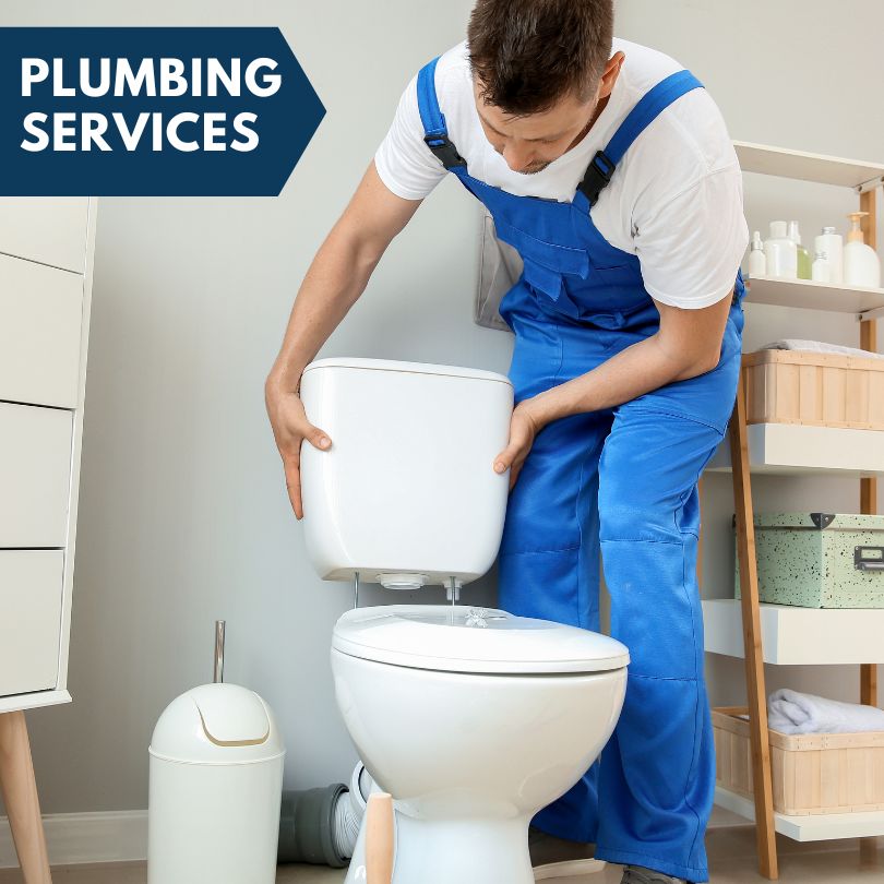 Plumbing Company in Lacarne, OH